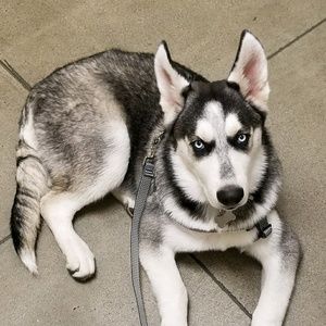 Meet your Posher, Eric